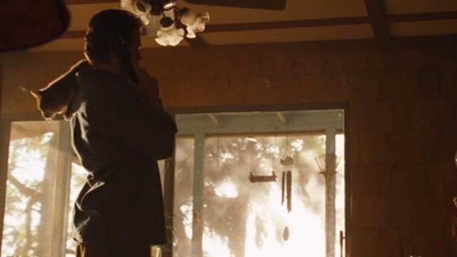 The Celestine Prophecy - John Matthew Settle with gray tabby cat Meredith on shoulder