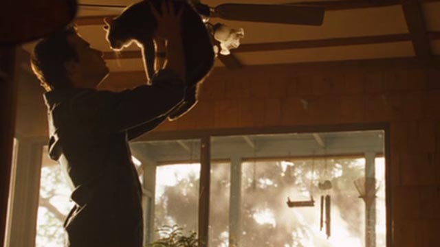 The Celestine Prophecy - John Matthew Settle holding up gray tabby cat Meredith