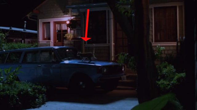 The Cell - orange tabby cat running over car