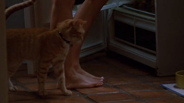 The Cell - orange tabby cat rubbing against Jennifer Lopez' leg