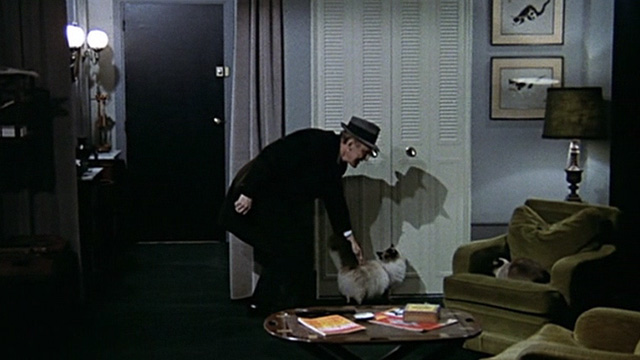 Le Cercle Rouge - Mattei André Bourvil coming home to Himalayan Griffaulait and Siamese Aufrène