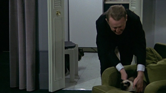 Le Cercle Rouge - Mattei André Bourvil picking up Siamese Aufrène from chair