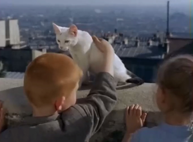 Cerf-volant du bout du monde - children petting white cat with black tabby tail Minou on wall