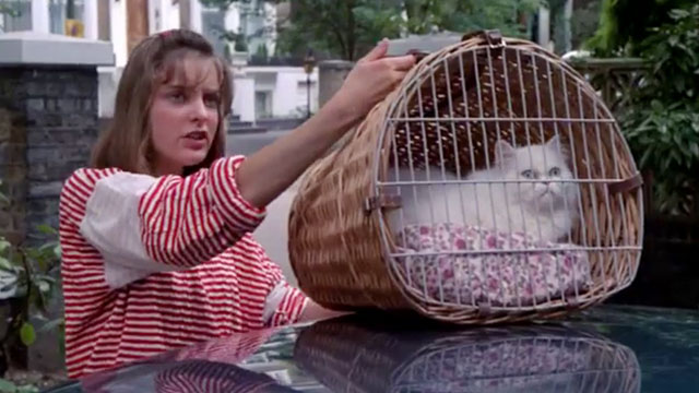 The Chain - Rosemary Charlotte Long holding wicker basket with longhair white cat Lady Diana on top of car