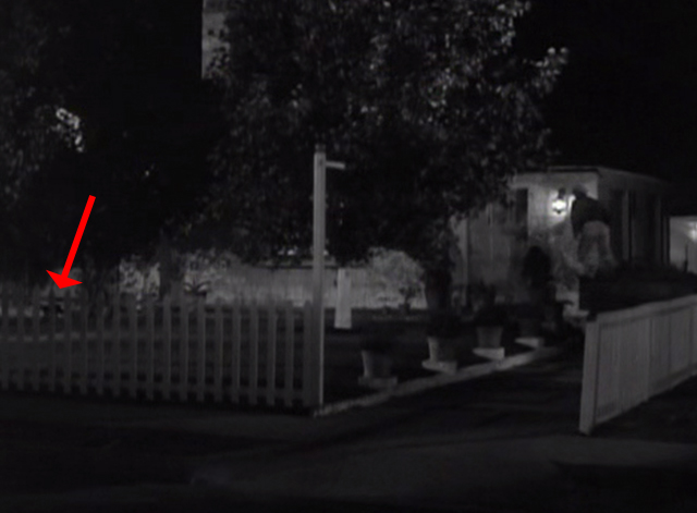 Chance at Heaven - black cat running across yard