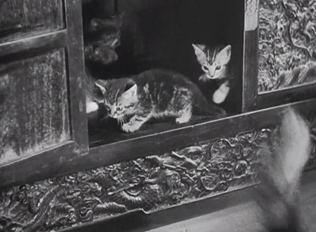 Charlie Chan in Shanghai - tabby kittens inside cabinet