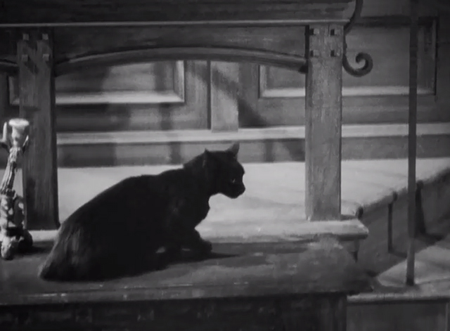 Charlie Chan's Secret - black cat Lucifer sitting on table