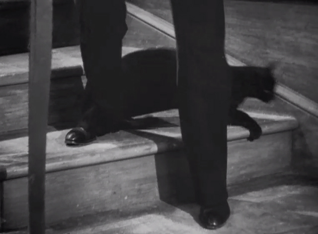 Charlie Chan's Secret - black cat Lucifer running behind legs
