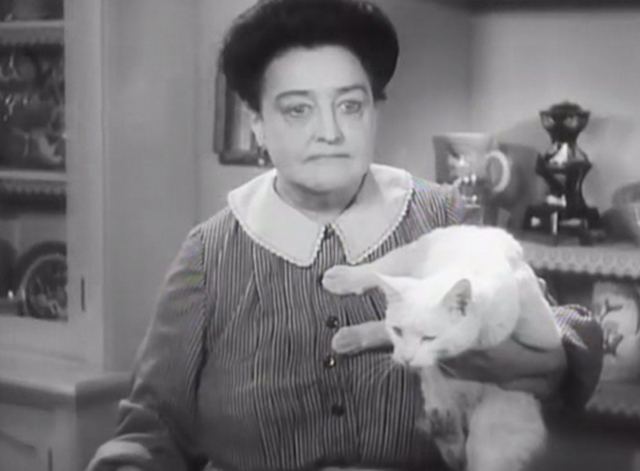 Chasing Yesterday - Therese Helen Westley holding white cat Whitey