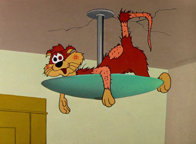 Cheese It, the Cat! - beat up ginger and cream cartoon cat on ceiling light fixture