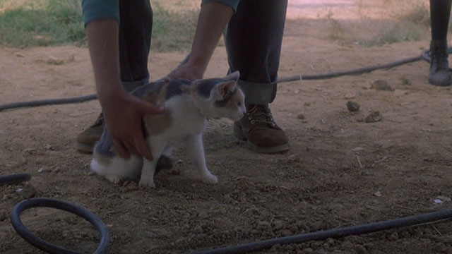 Children of the Corn II - calico cat Elmira being picked up by boy
