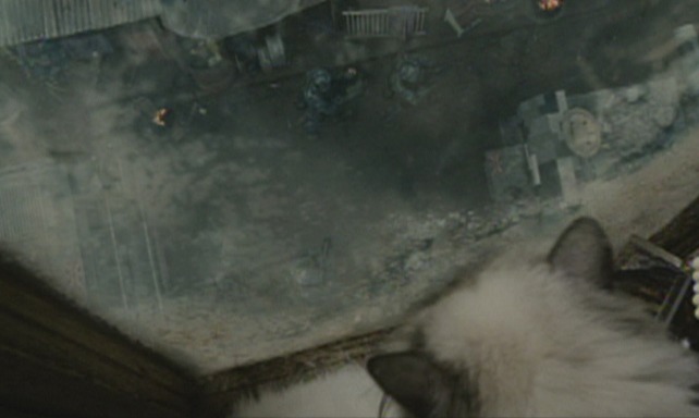 Children of Men cat window