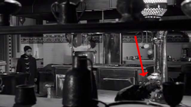 Children of the Damned - cat on table watching boy Rashid Mahdu Mathen