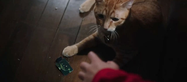 Child's Play - Andy reaching down to pick up card character next to ginger tabby cat Mickey Rooney