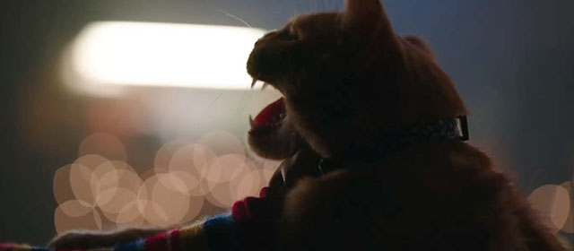 Child's Play - ginger tabby cat Mickey Rooney being strangled