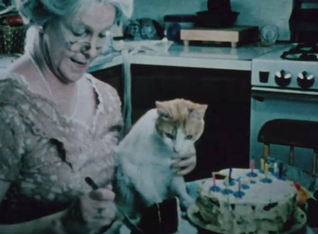 Chino's Tale - orange and white tabby cat Chino watching Miss Mixter Geraldine Page with birthday cake