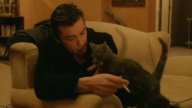 Le Choc - The Shock - Terrier Christian Alain Delon with gray cat Soudan