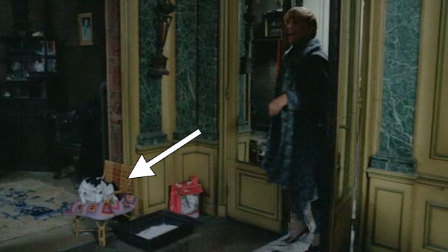 Le Choc - The Shock - black and white cat on chair in Jeannes' office