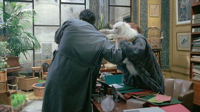 Le Choc - The Shock - Jeannes Stephanie Audran taking back longhair white cat Nini from Terrier Christian Alain Delon
