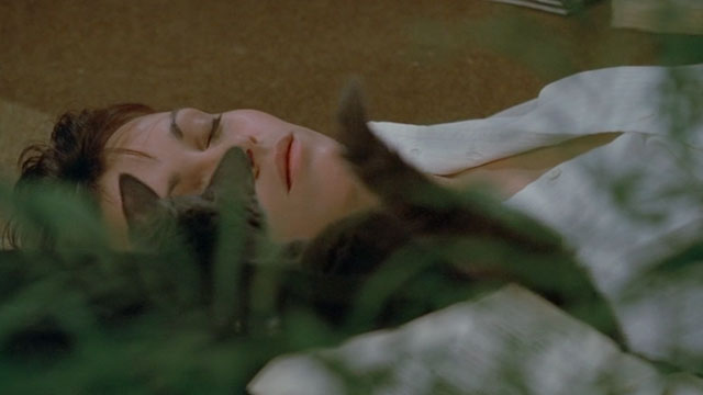 Le Choc - The Shock - gray cat Soudan next to fainted Mathilde Catherine Leprince