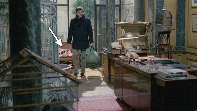 Le Choc - The Shock - black and white cat on chair behind Terrier Christian Alain Delon