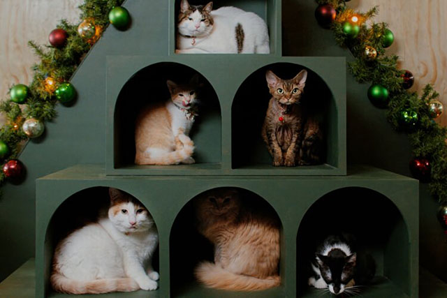 Christmas at the Catnip Cafe - several cats inside tree shaped cat tree including Tinsel Jonesy