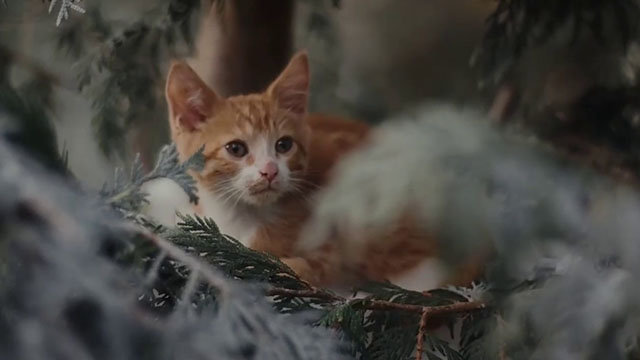 Christmas at the Catnip Cafe - ginger and white tabby kitten Noel in tree on snowy day