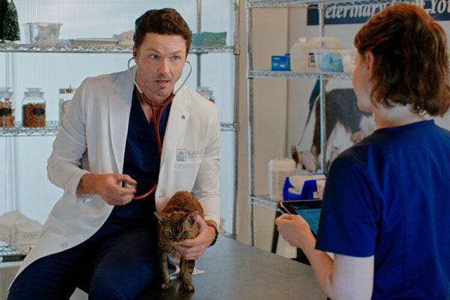 Christmas at the Catnip Cafe - Ben Paul Campbell with brown tabby Devon Rex Tinsel Jonesy