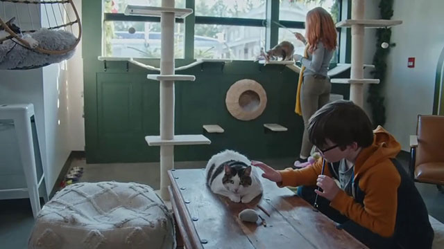 Christmas at the Catnip Cafe - little boy Joshie William Carson with tabby and white cat Snowball