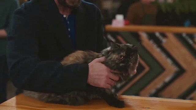 Christmas at the Catnip Cafe - longhair tortoiseshell cat