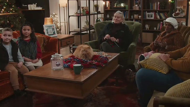 Christmas at the Catnip Cafe - longhair ginger tabby cat Gingerbread