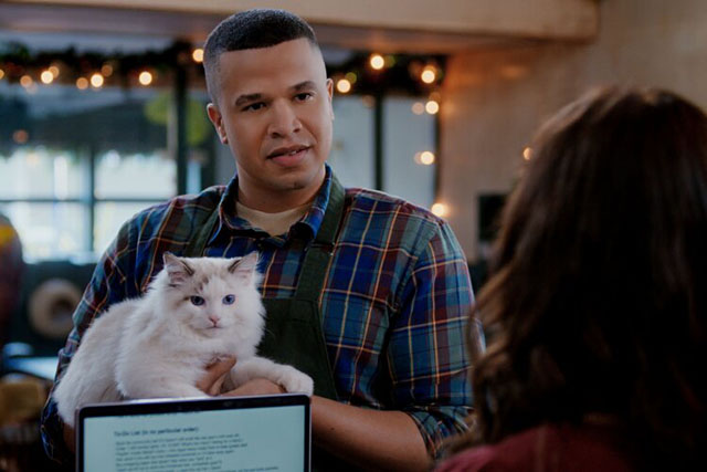 Christmas at the Catnip Cafe - Frank Ian Collins holding longhair white cat with brown markings