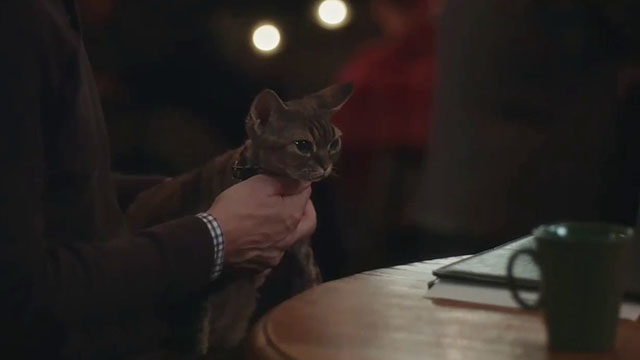 Christmas at the Catnip Cafe - brown tabby Devon Rex cat Tinsel Jonesy in man's lap