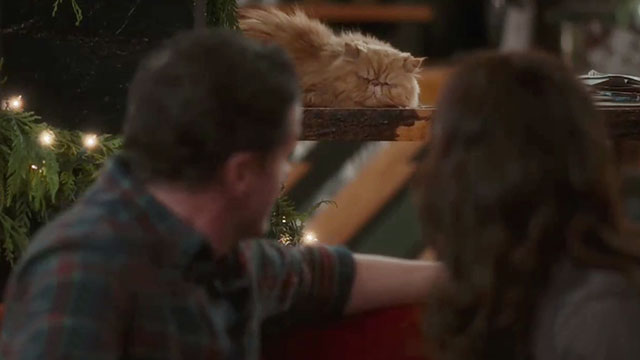 Christmas at the Catnip Cafe - longhair ginger tabby cat Gingerbread sitting near Ben and Olivia