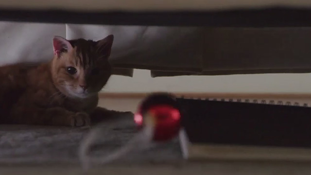 Christmas Everlasting - orange tabby cat Mr. Freckles hiding under furniture eyeing Christmas decoration