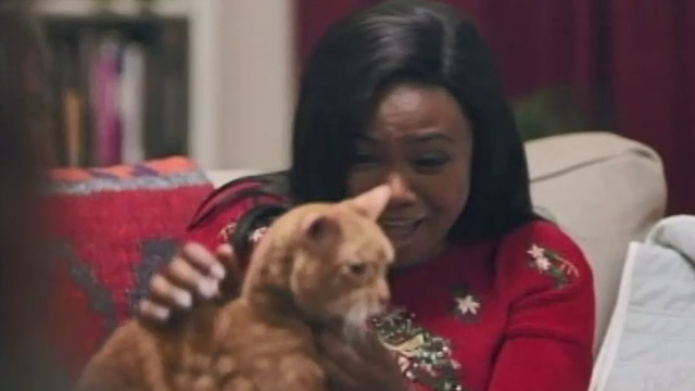 Christmas Everlasting - Lucy Tatyana Ali watching orange tabby cat Mr. Freckles running away from carrier