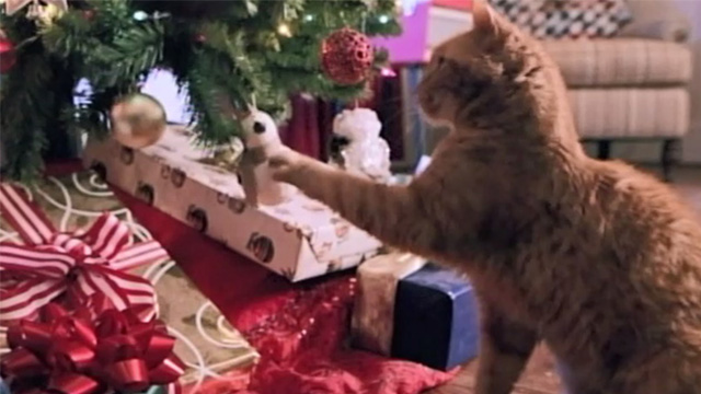 Christmas Everlasting - orange tabby cat Mr. Freckles playing with ornament on tree