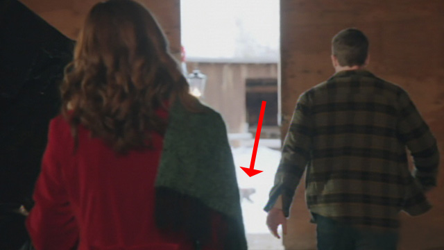 Christmas Land - cat seen crossing doorway outside barn