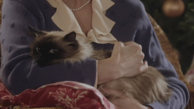 A Christmas to Remember - Himalayan cat Katy in Nancy's arms