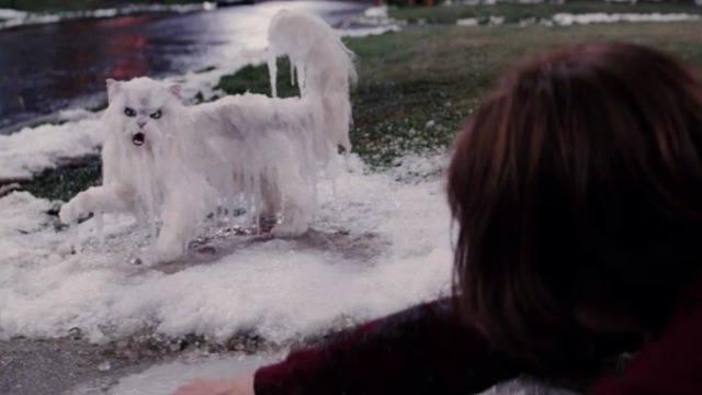 Christmas with the Kranks - white Persian cat Muffles frozen on walk