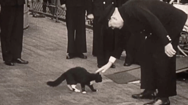 Churchill and the Movie Mogul - newsreel footage of Winston Churchill petting black and white longhaired ship cat Blackie on HMS Prince of Wales