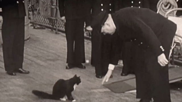 Churchill and the Movie Mogul - newsreel footage of Winston Churchill petting black and white longhaired ship cat Blackie on HMS Prince of Wales
