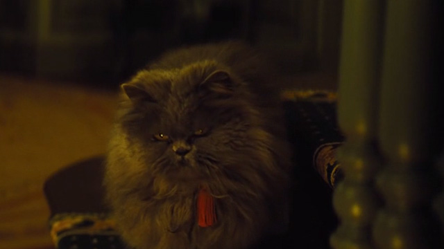Cinderella live action - grey Persian cat Lucifer on chair ready to pounce