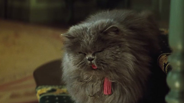 Cinderella live action - grey Persian cat Lucifer meowing