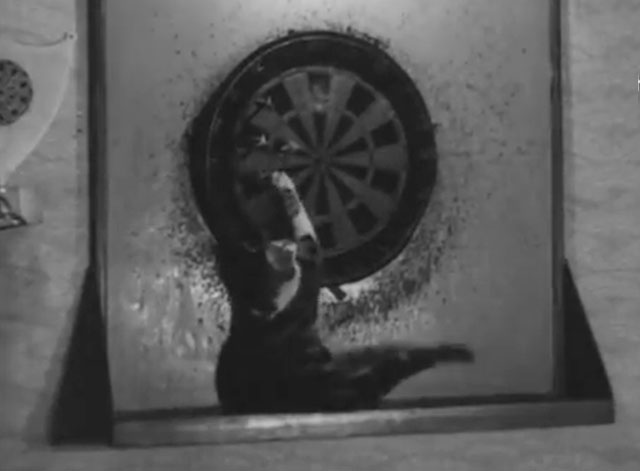 Cinetopicalities In Brief No. 93 - tabby and white cat Kitty playing with dartboard in Newcastle Dance Club