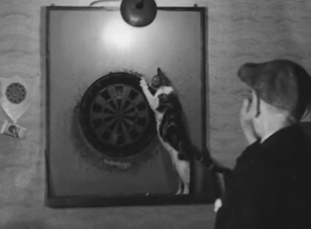 Cinetopicalities In Brief No. 93 - tabby and white cat Kitty playing with dartboard in Newcastle Dance Club