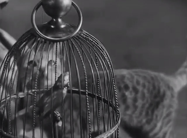 City Girl - tabby cat looking at mechanical bird in cage