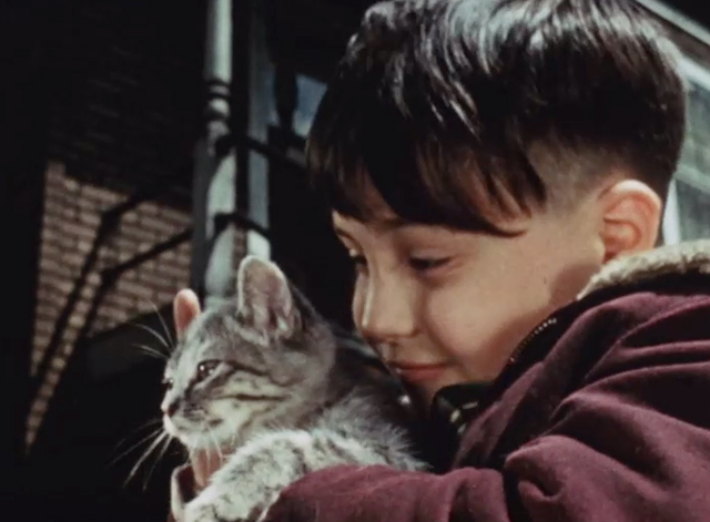 City Pets: Fun and Responsibility - tabby kitten petted by boy Mike