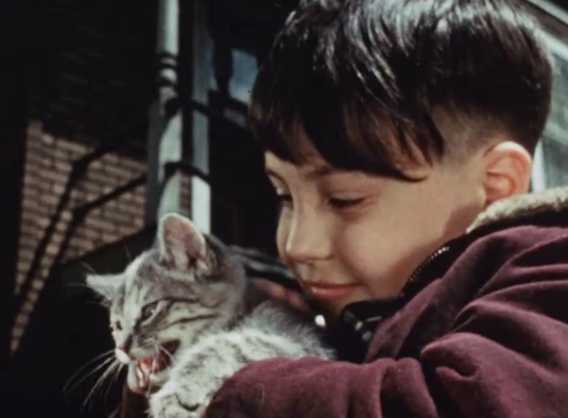 City Pets: Fun and Responsibility - tabby kitten petted by boy Mike