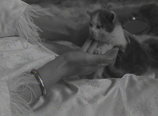 Cleo From 5 to 7 - Cleo pets tiny kitten